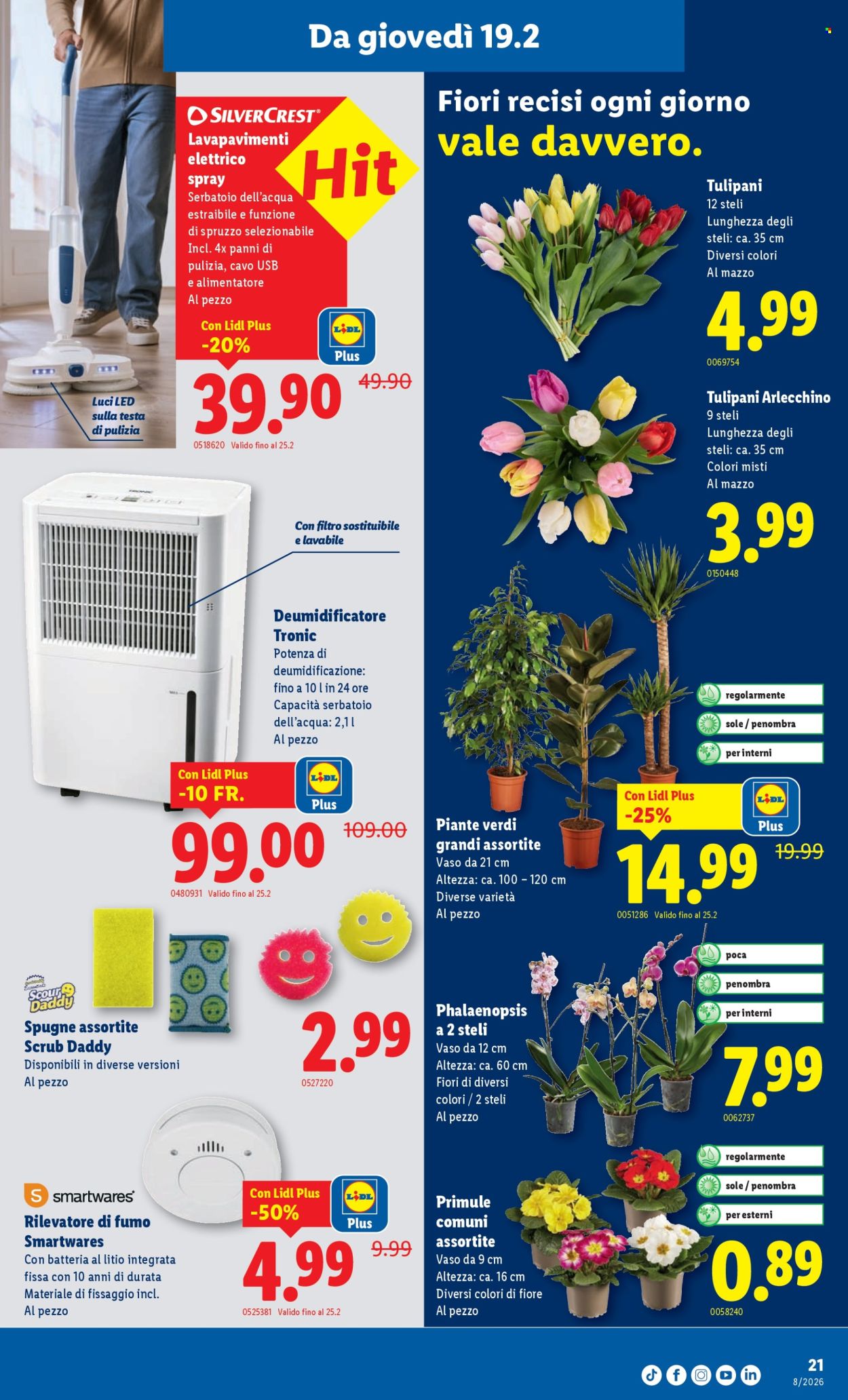 Volantino Lidl - 19.2.2026 - 25.2.2026. Pagina 21. Pagina 21