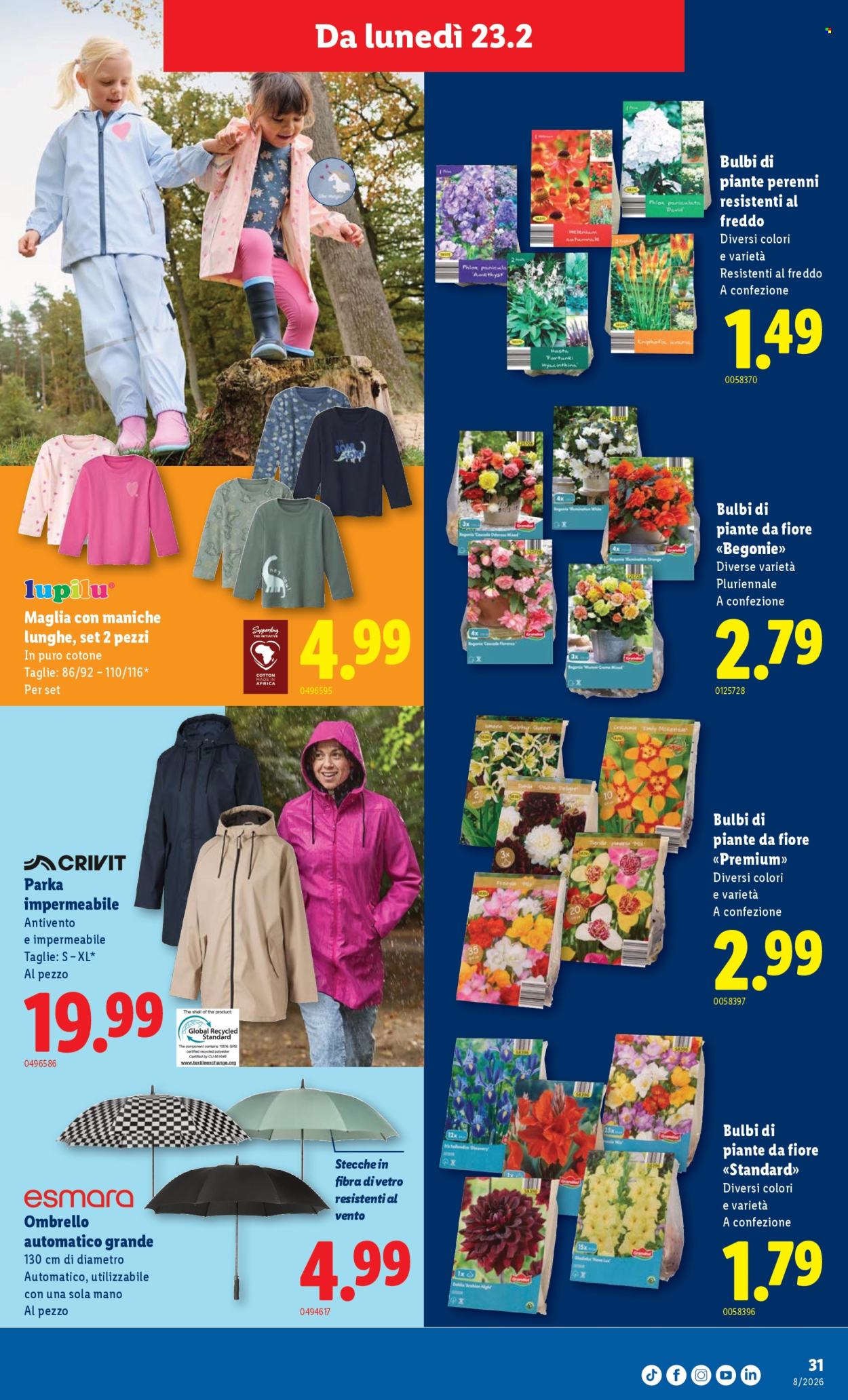 Volantino Lidl - 19.2.2026 - 25.2.2026. Pagina 31. Pagina 31