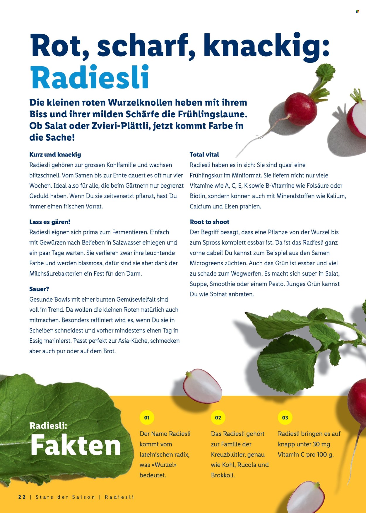 Volantino Lidl - 26.2.2026 - 4.4.2026. Pagina 22. Pagina 22