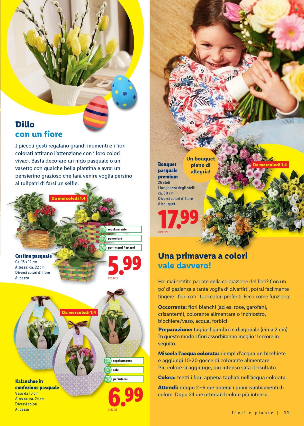 Volantino Lidl - 26.2.2026 - 4.4.2026. Pagina 11. Pagina 11