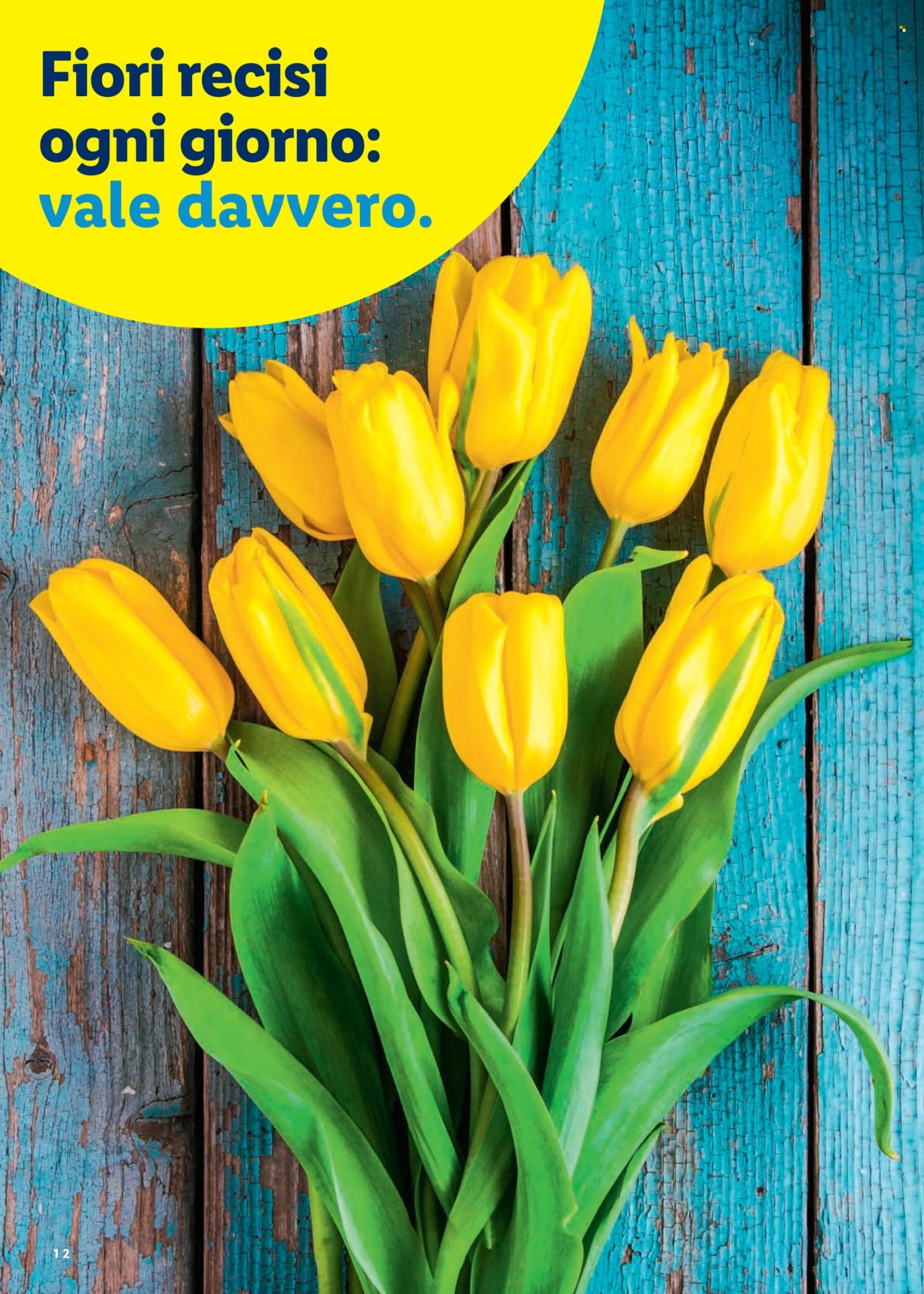 Volantino Lidl - 26.2.2026 - 4.4.2026. Pagina 12. Pagina 12