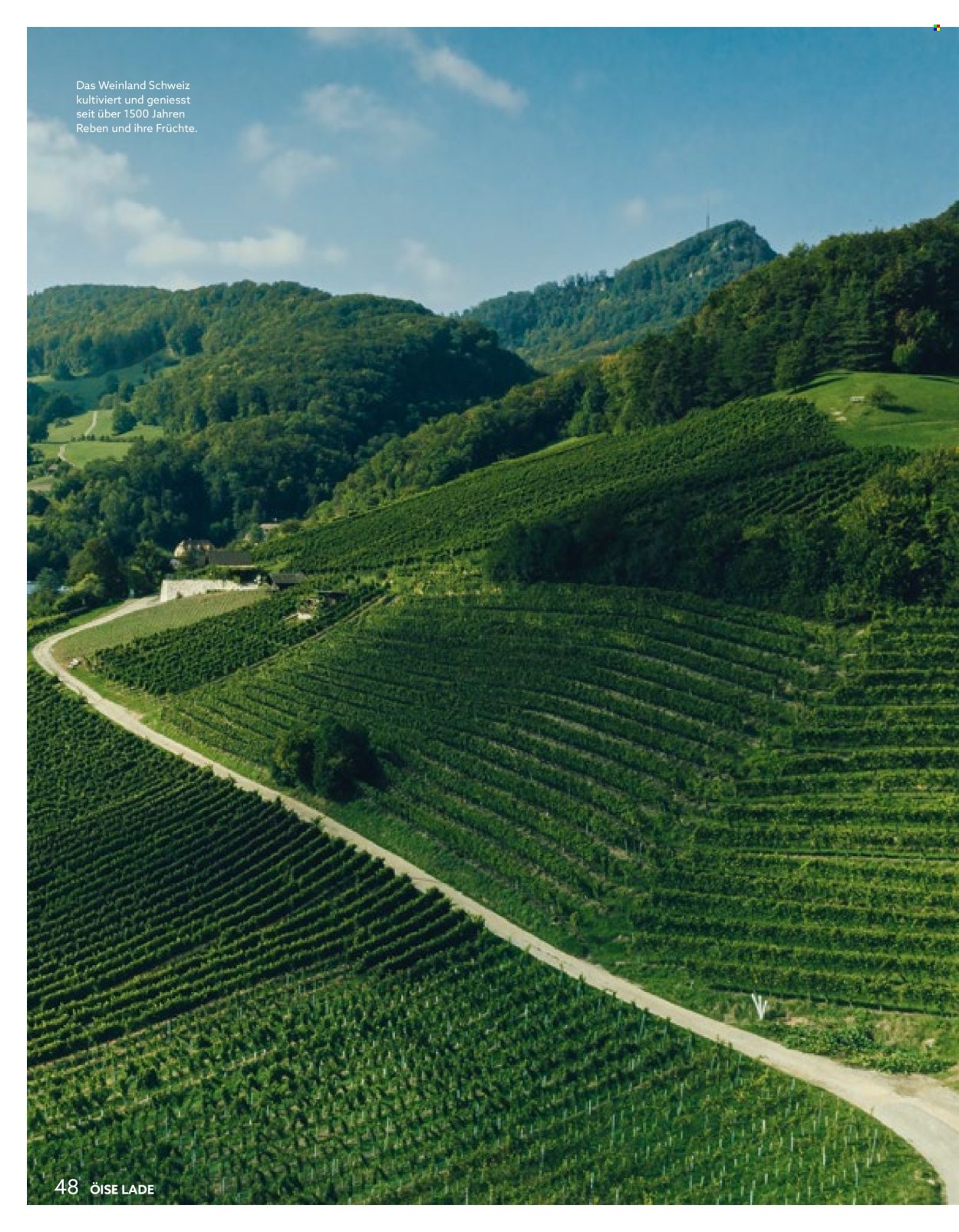 Volantino Volg - 1.3.2026 - 31.3.2026. Pagina 48. Pagina 48