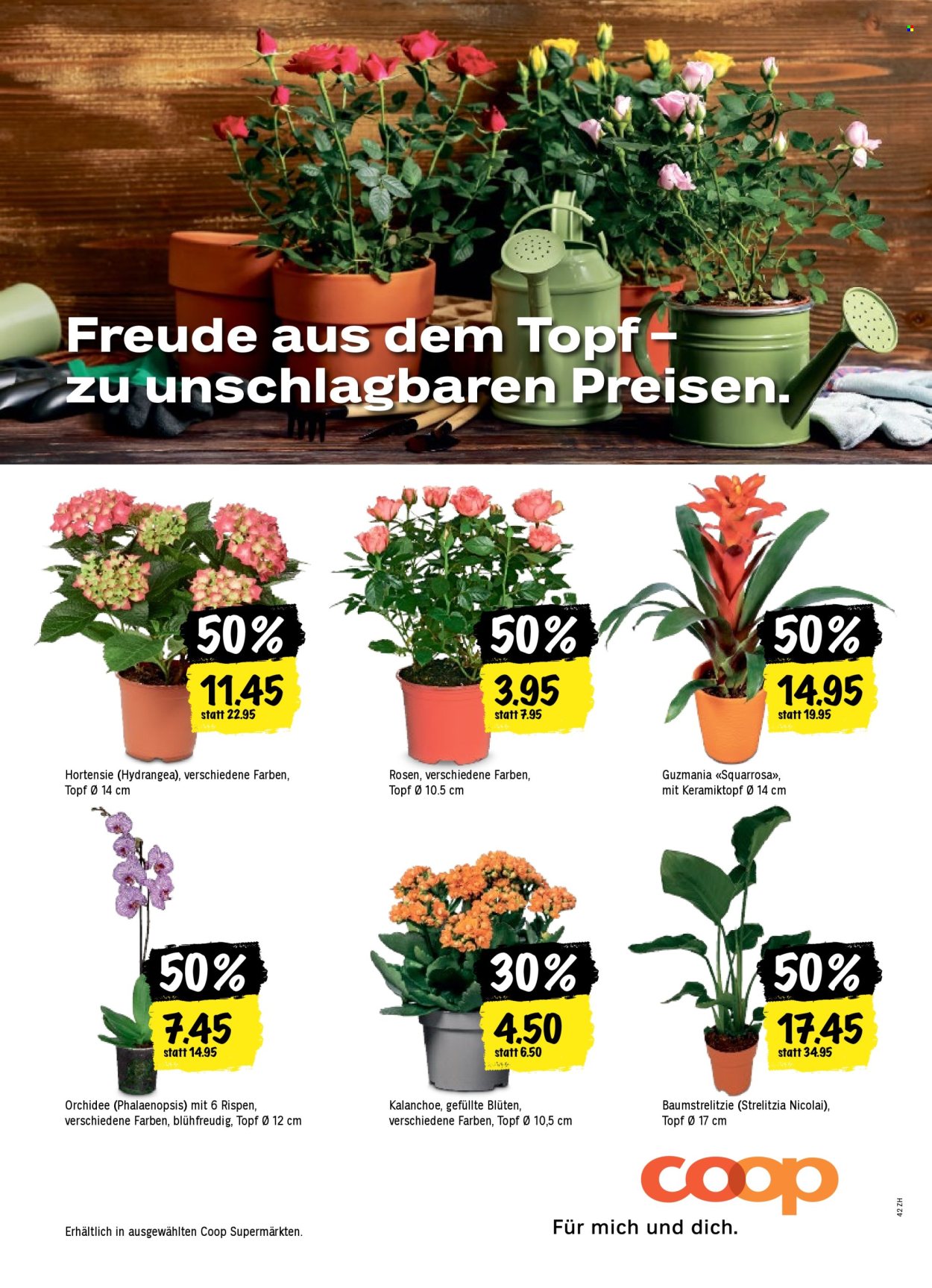 Volantino Coop - 26.2.2026 - 4.3.2026. Pagina 52. Pagina 52