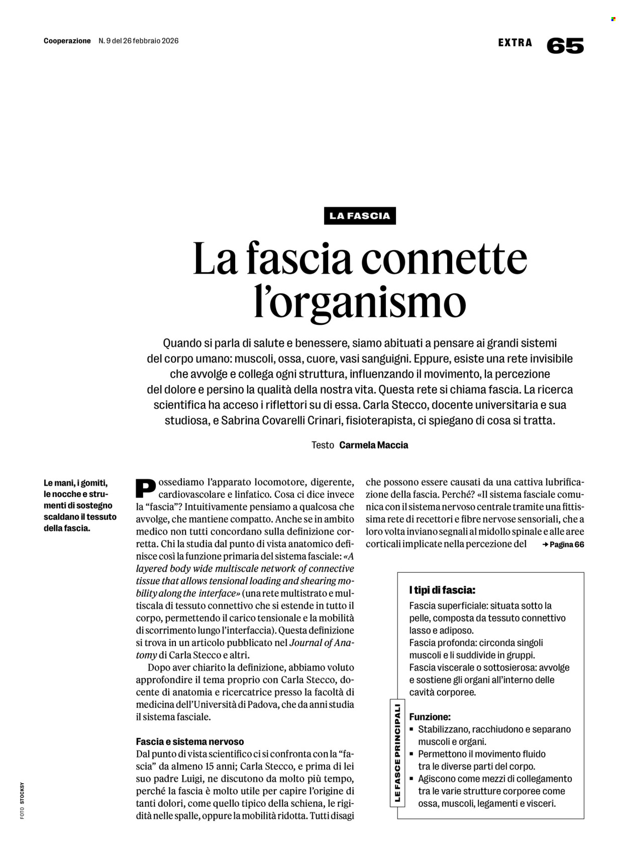 Volantino Coop - 26.2.2026 - 4.3.2026. Pagina 65. Pagina 65