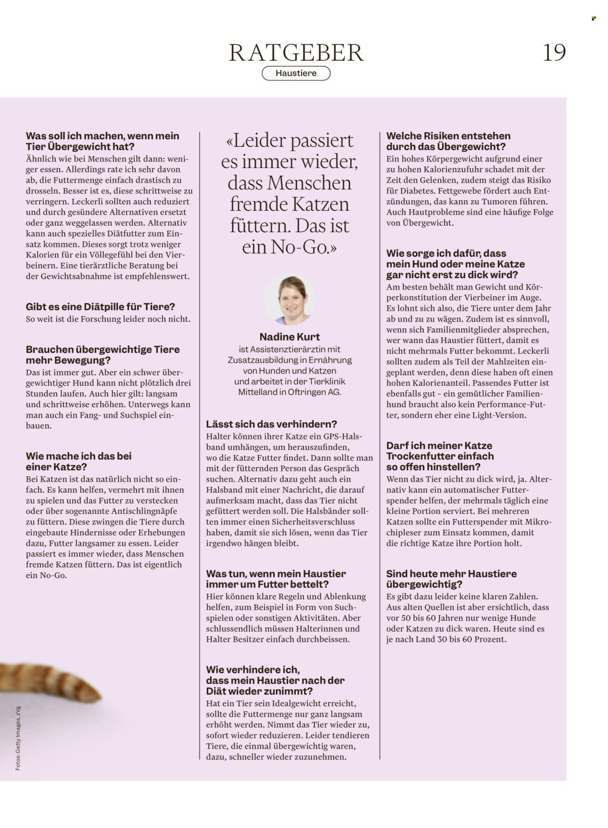 Volantino Migros - 4.3.2026 - 11.3.2026. Pagina 19. Pagina 19