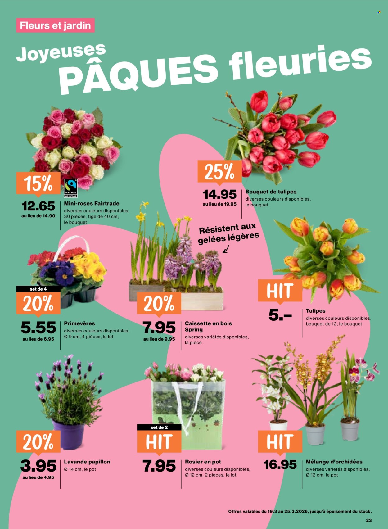 Volantino Migros - 19.3.2026 - 25.3.2026. Pagina 23. Pagina 23