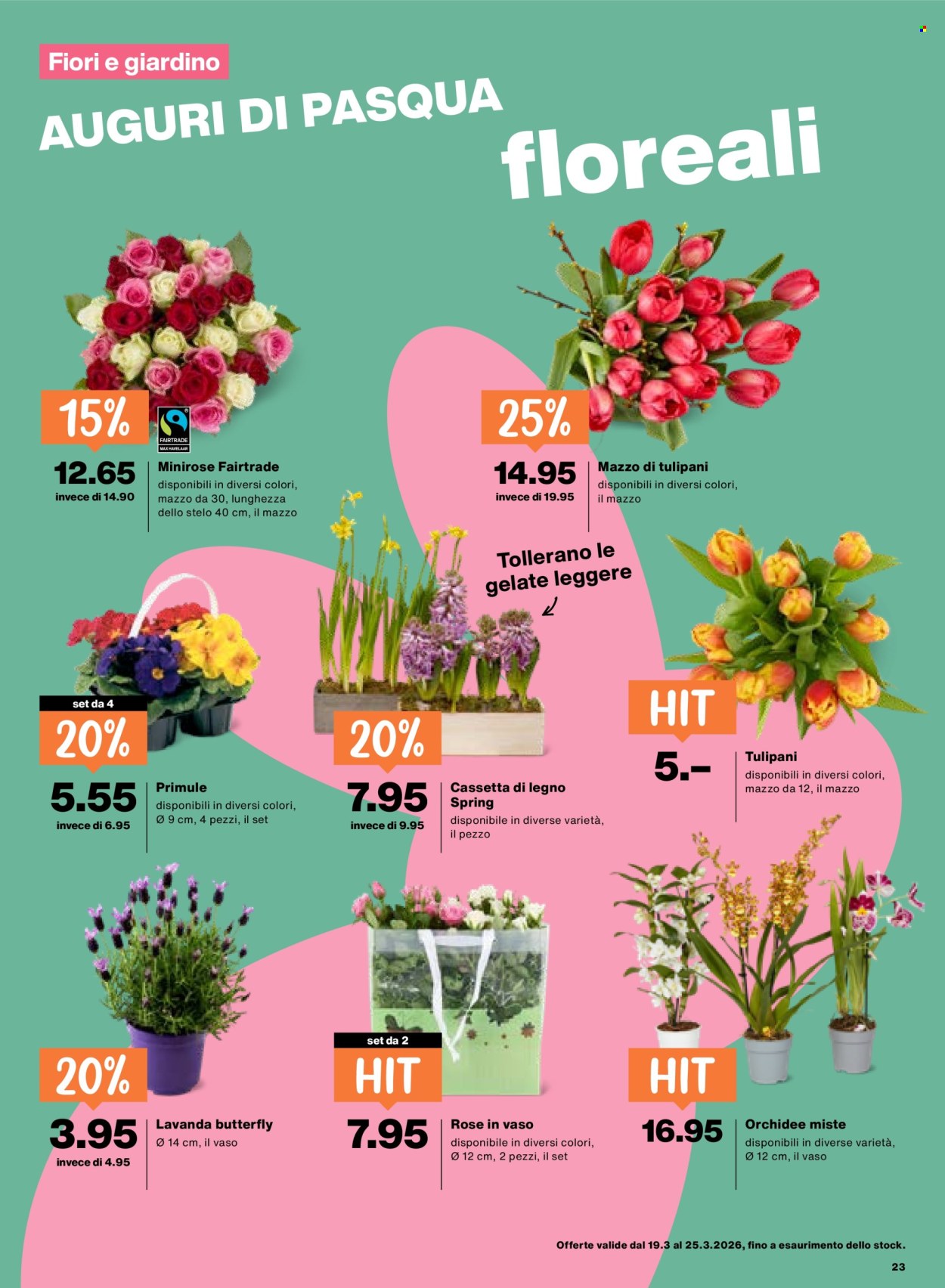 Volantino Migros - 19.3.2026 - 25.3.2026. Pagina 23. Pagina 23