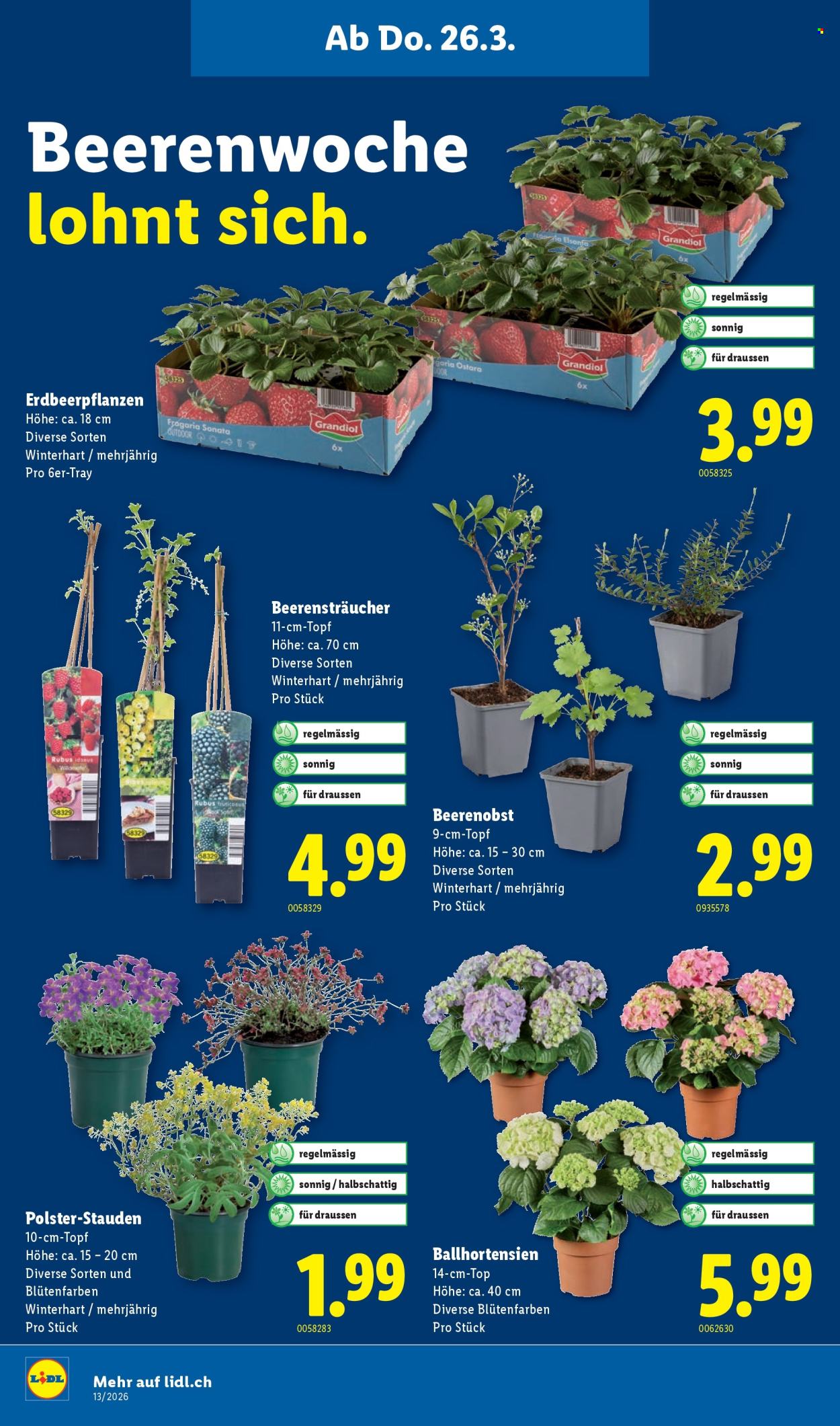 Volantino Lidl - 26.3.2026 - 31.3.2026. Pagina 18. Pagina 18