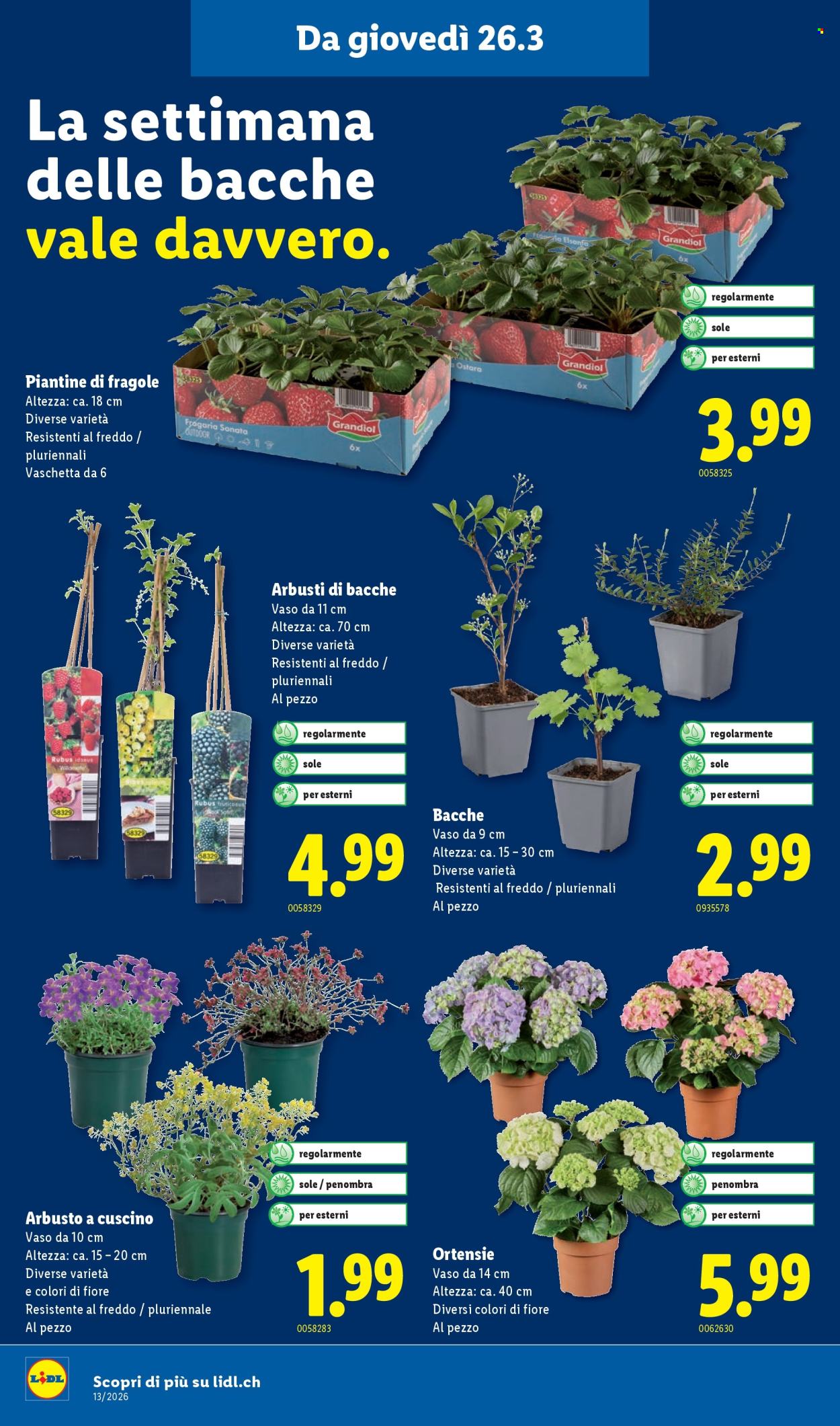 Volantino Lidl - 26.3.2026 - 31.3.2026. Pagina 18. Pagina 18