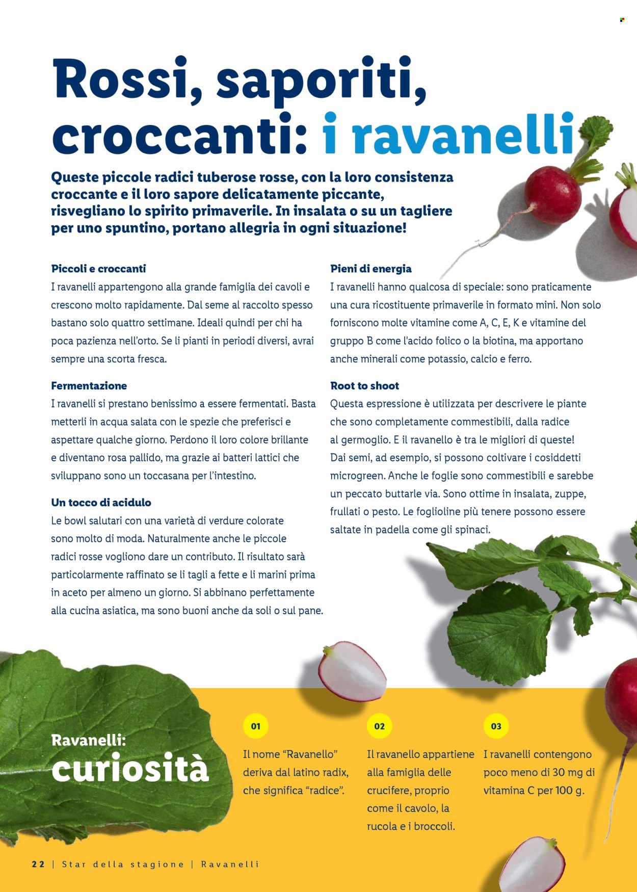 Volantino Lidl - 26.3.2026 - 4.4.2026. Pagina 22. Pagina 22