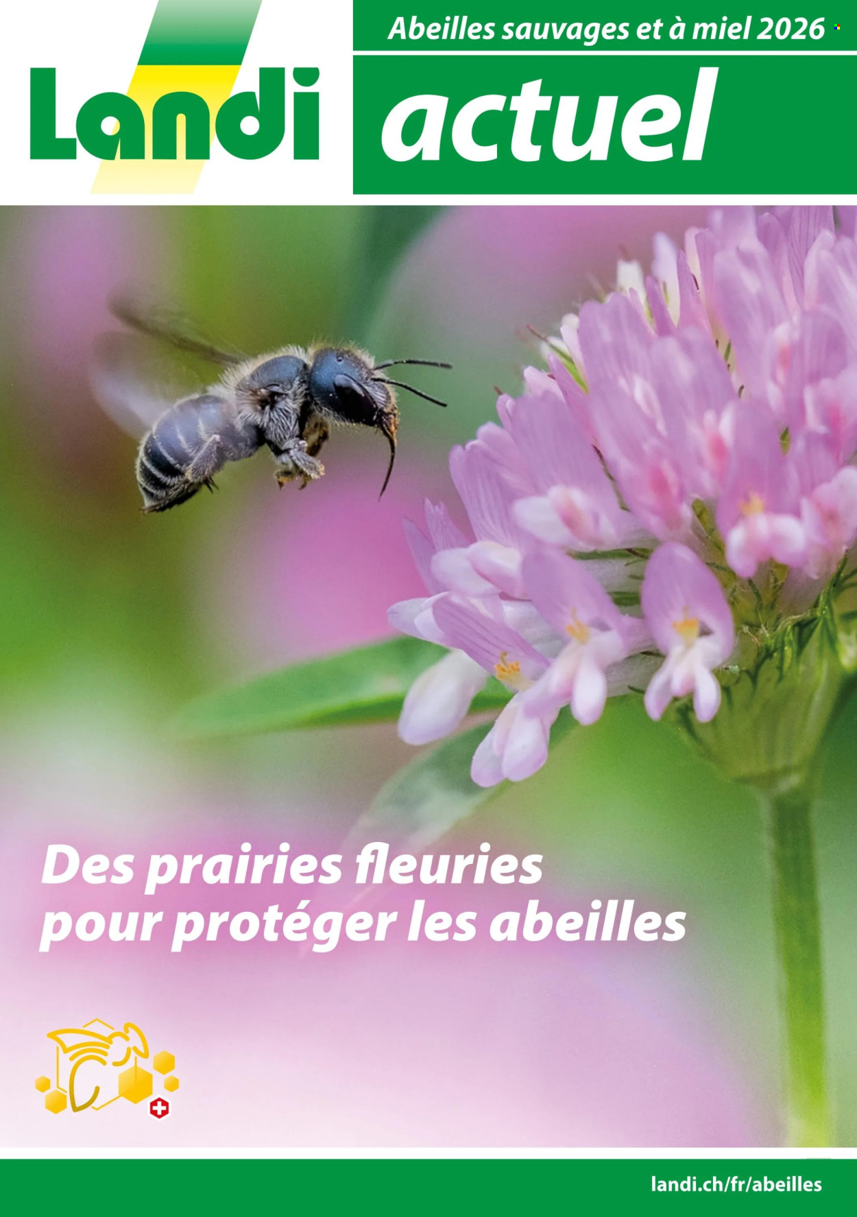 Volantino Landi. Pagina 1. Pagina 1