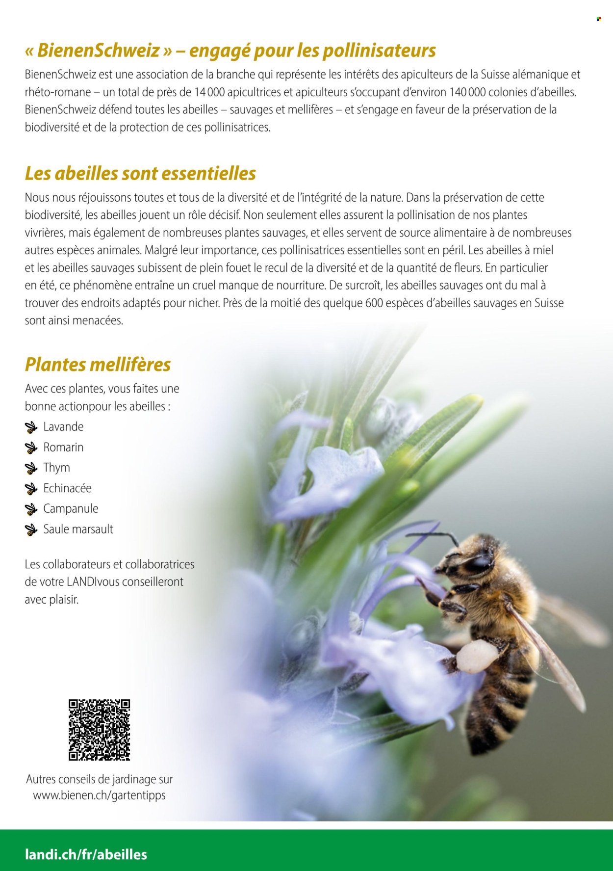 Volantino Landi. Pagina 2. Pagina 2