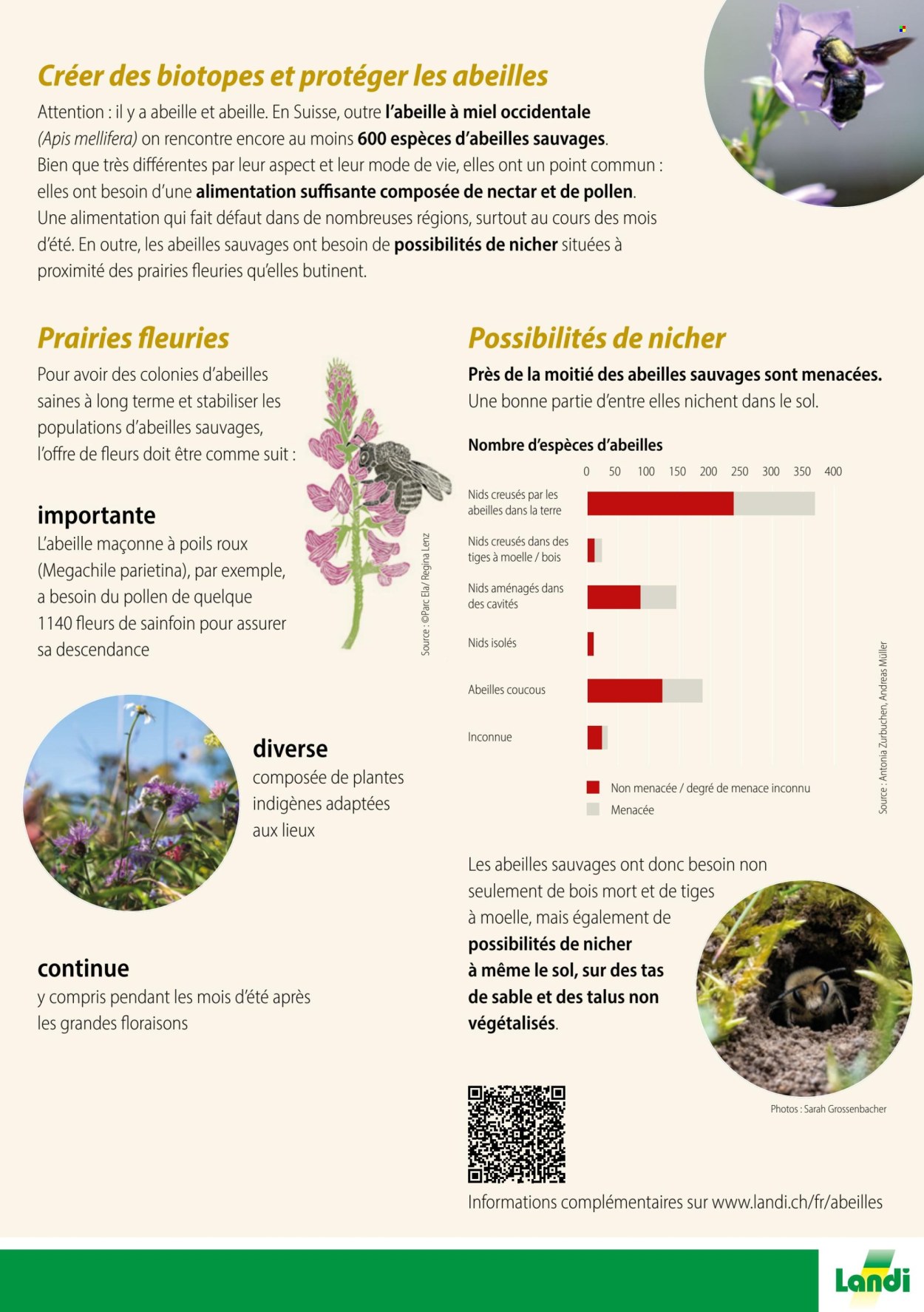 Volantino Landi. Pagina 3. Pagina 3