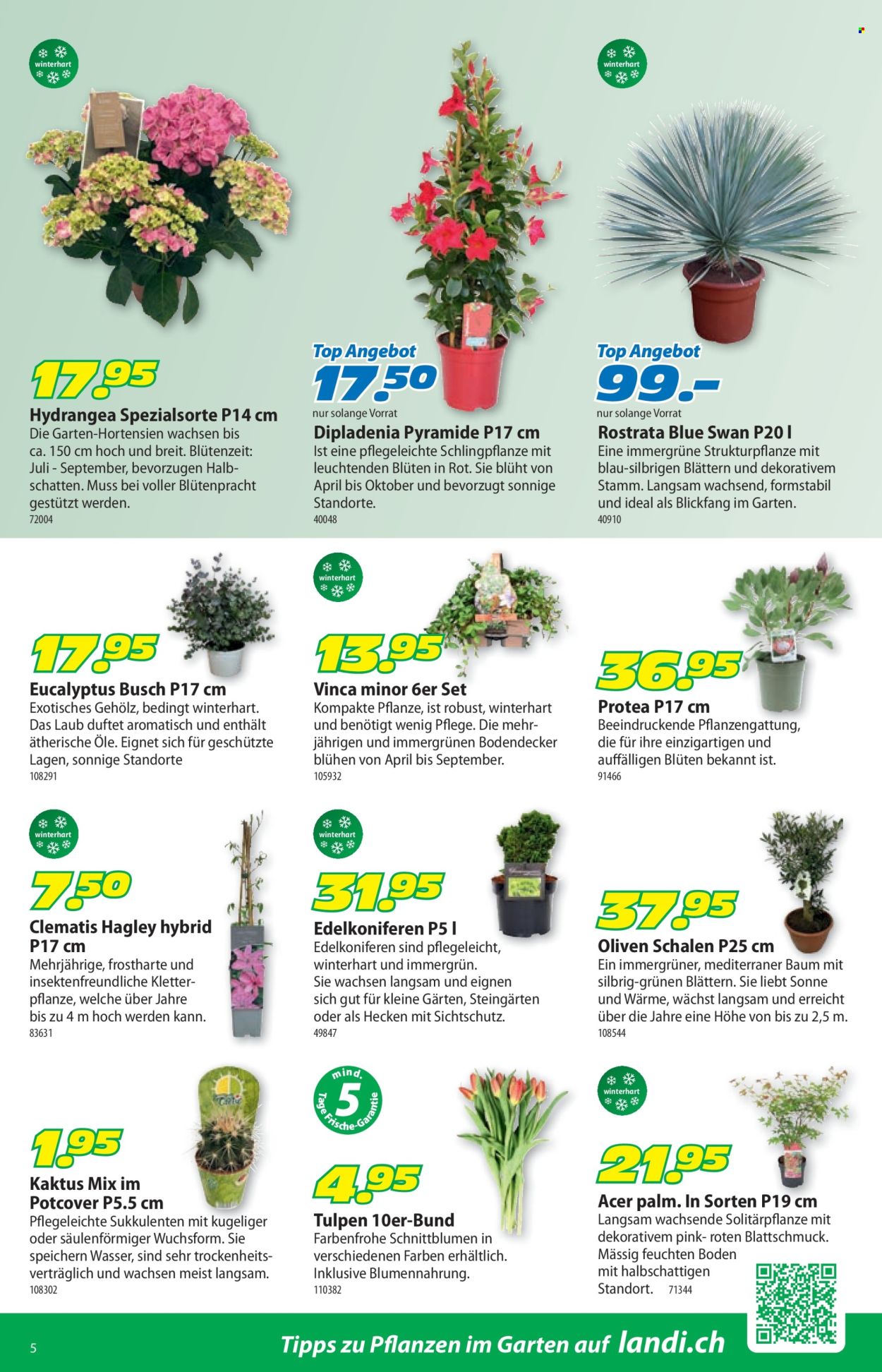 Volantino Landi - 30.3.2026 - 12.4.2026. Pagina 9. Pagina 9