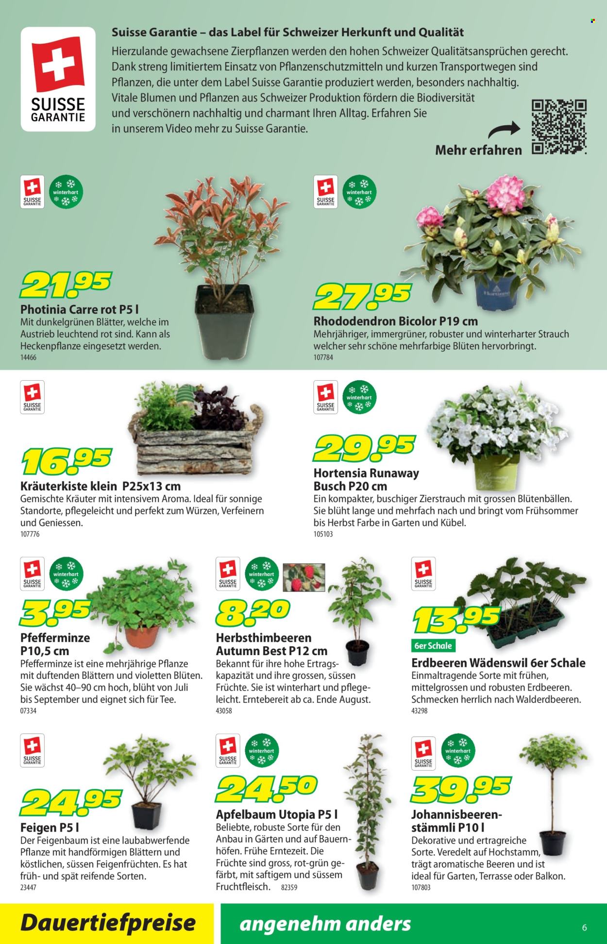 Volantino Landi - 30.3.2026 - 12.4.2026. Pagina 10. Pagina 10