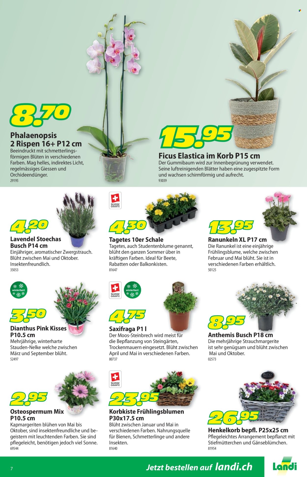 Volantino Landi - 30.3.2026 - 12.4.2026. Pagina 11. Pagina 11