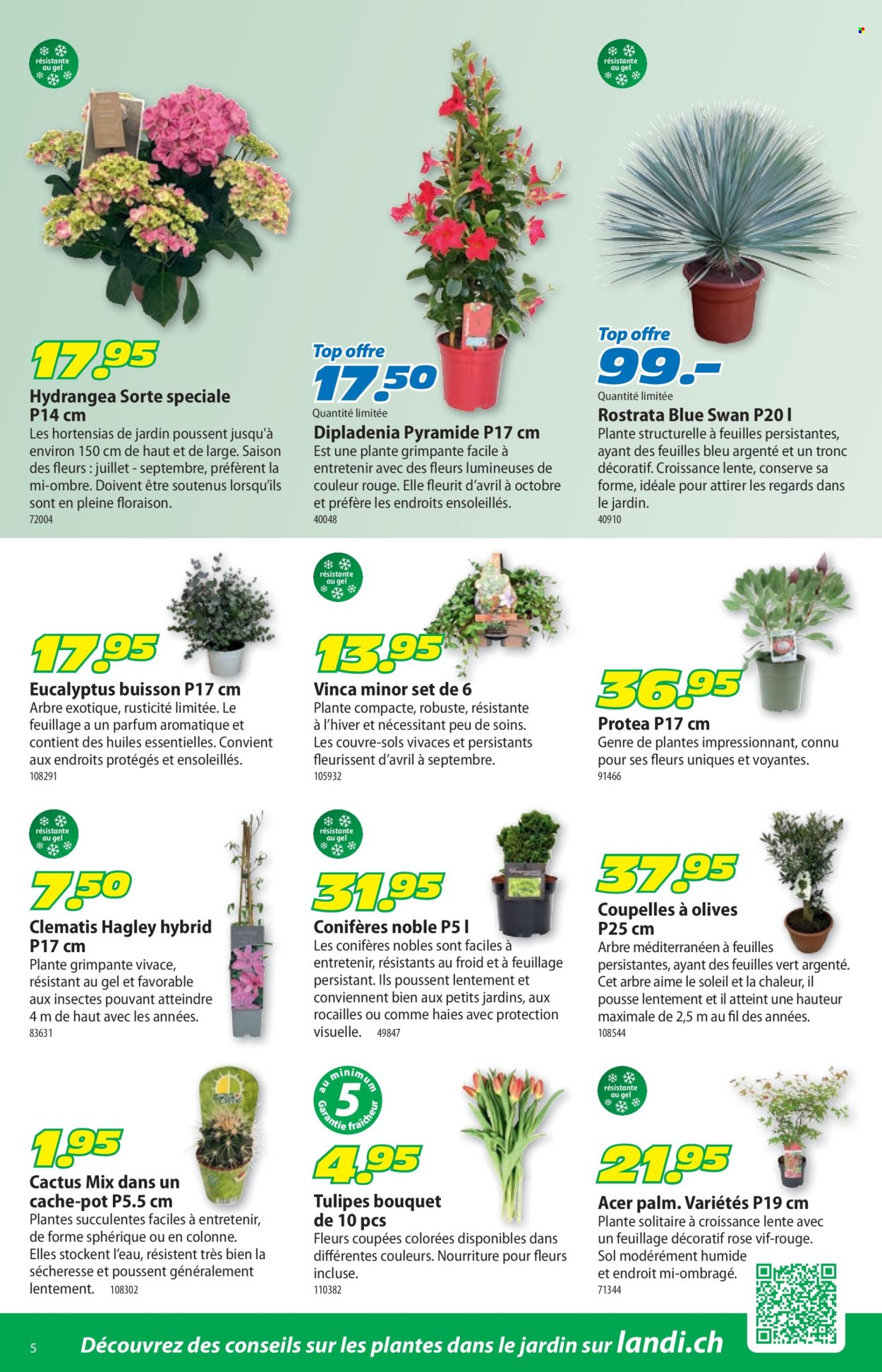 Volantino Landi - 30.3.2026 - 12.4.2026. Pagina 9. Pagina 9