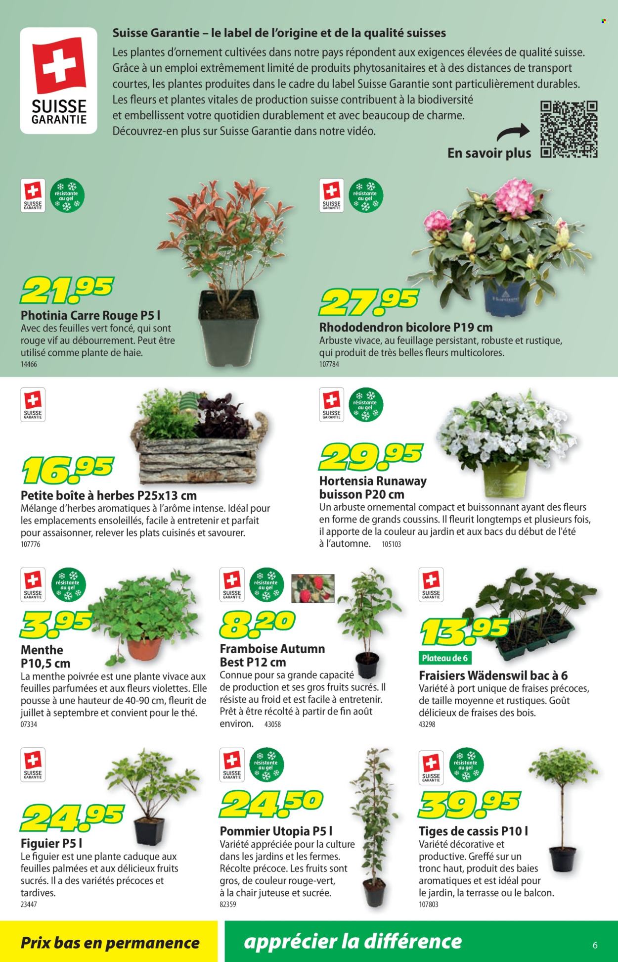 Volantino Landi - 30.3.2026 - 12.4.2026. Pagina 10. Pagina 10