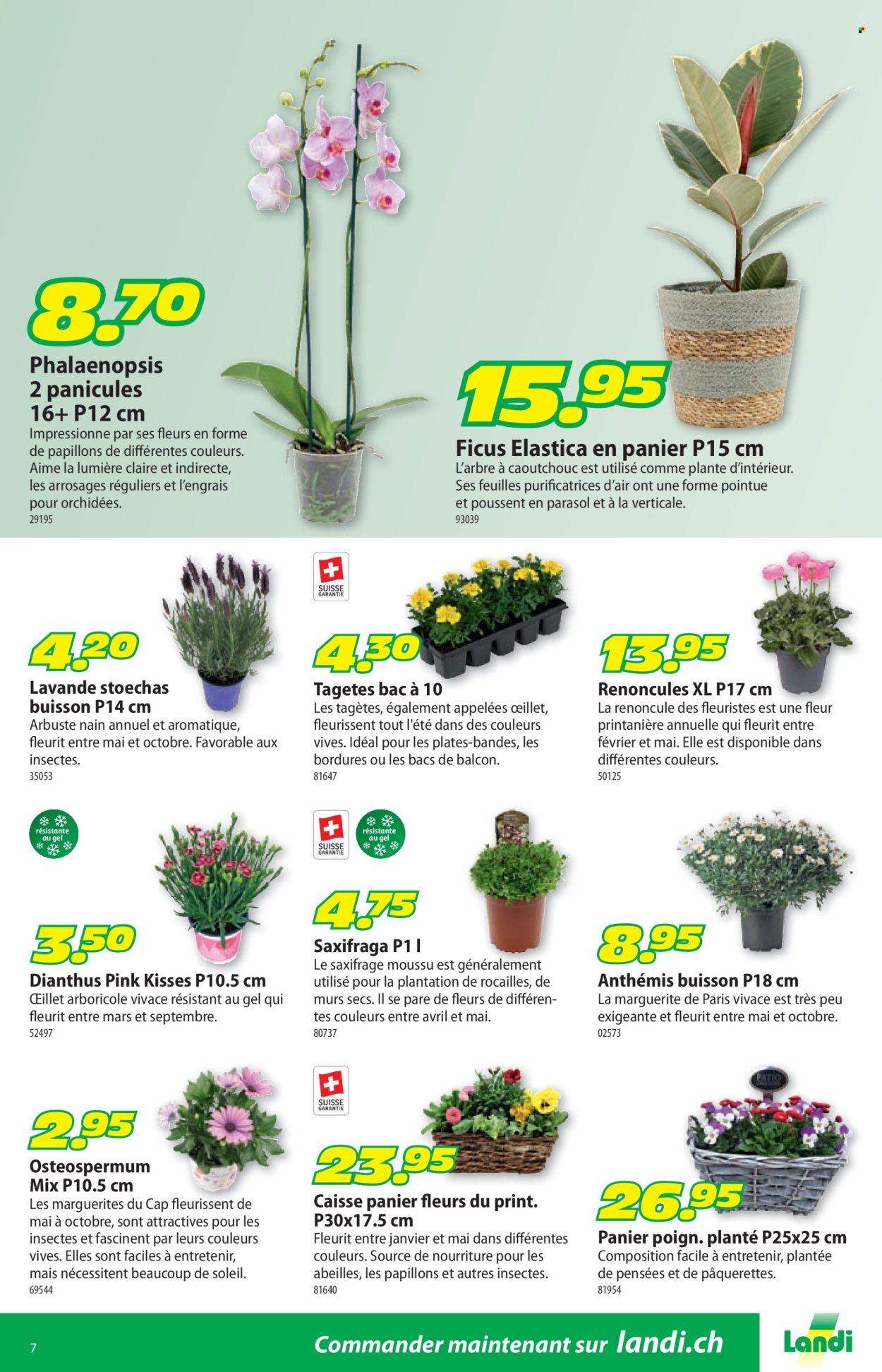 Volantino Landi - 30.3.2026 - 12.4.2026. Pagina 11. Pagina 11