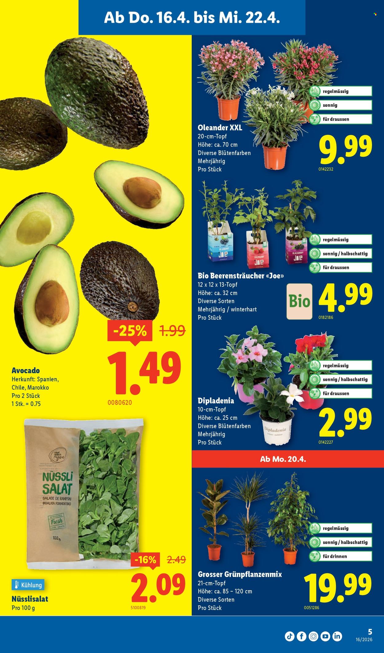 Volantino Lidl - 16.4.2026 - 22.4.2026. Pagina 5. Pagina 5