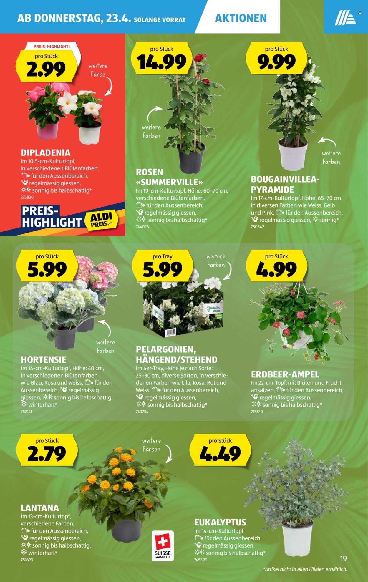 Volantino Aldi - 23.4.2026 - 29.4.2026. Pagina 19. Pagina 19