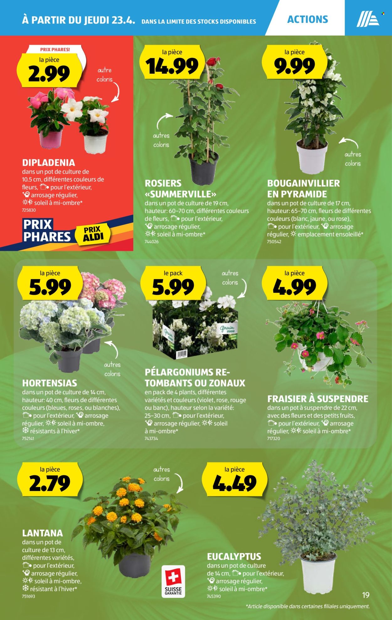 Volantino Aldi - 23.4.2026 - 29.4.2026. Pagina 19. Pagina 19