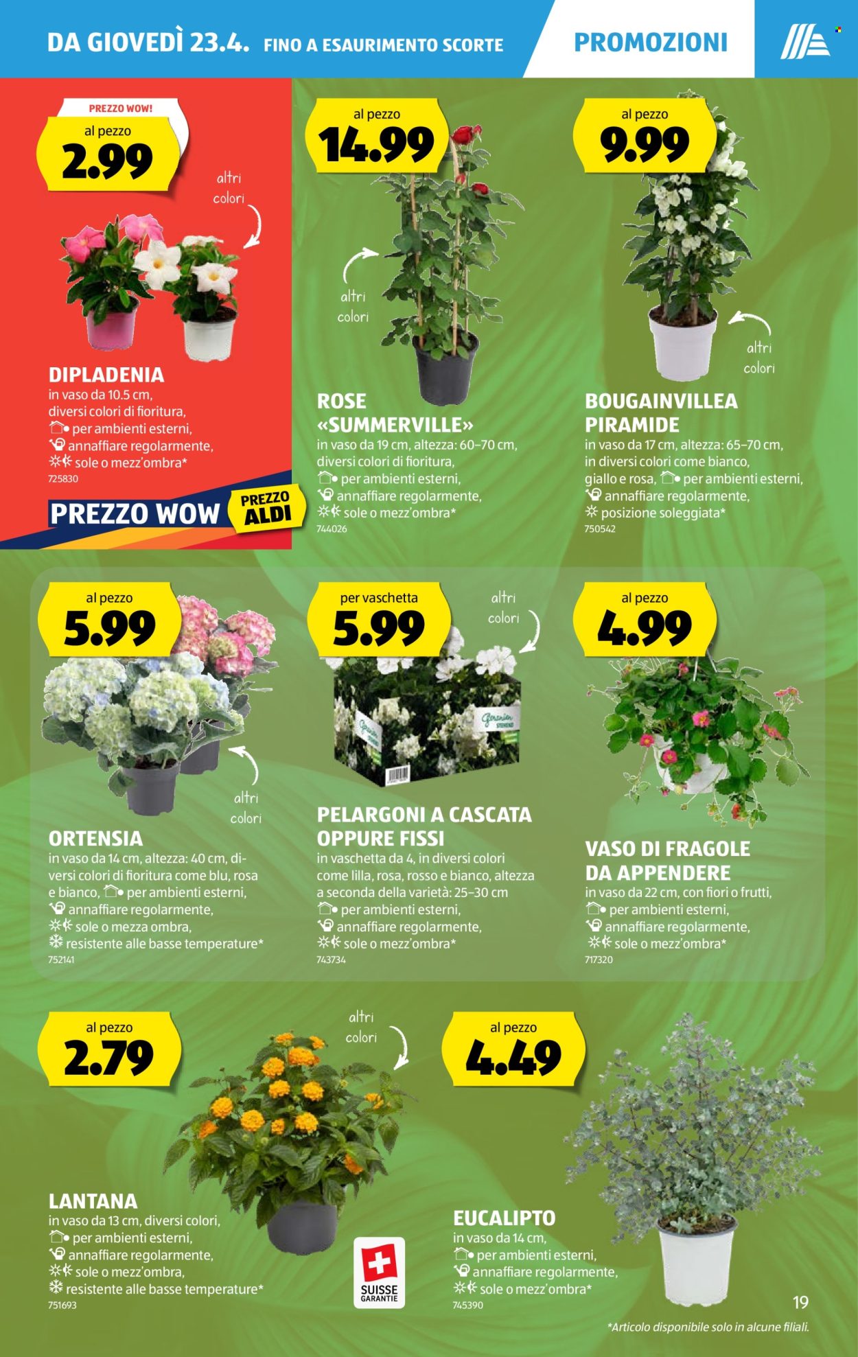 Volantino Aldi - 23.4.2026 - 29.4.2026. Pagina 19. Pagina 19