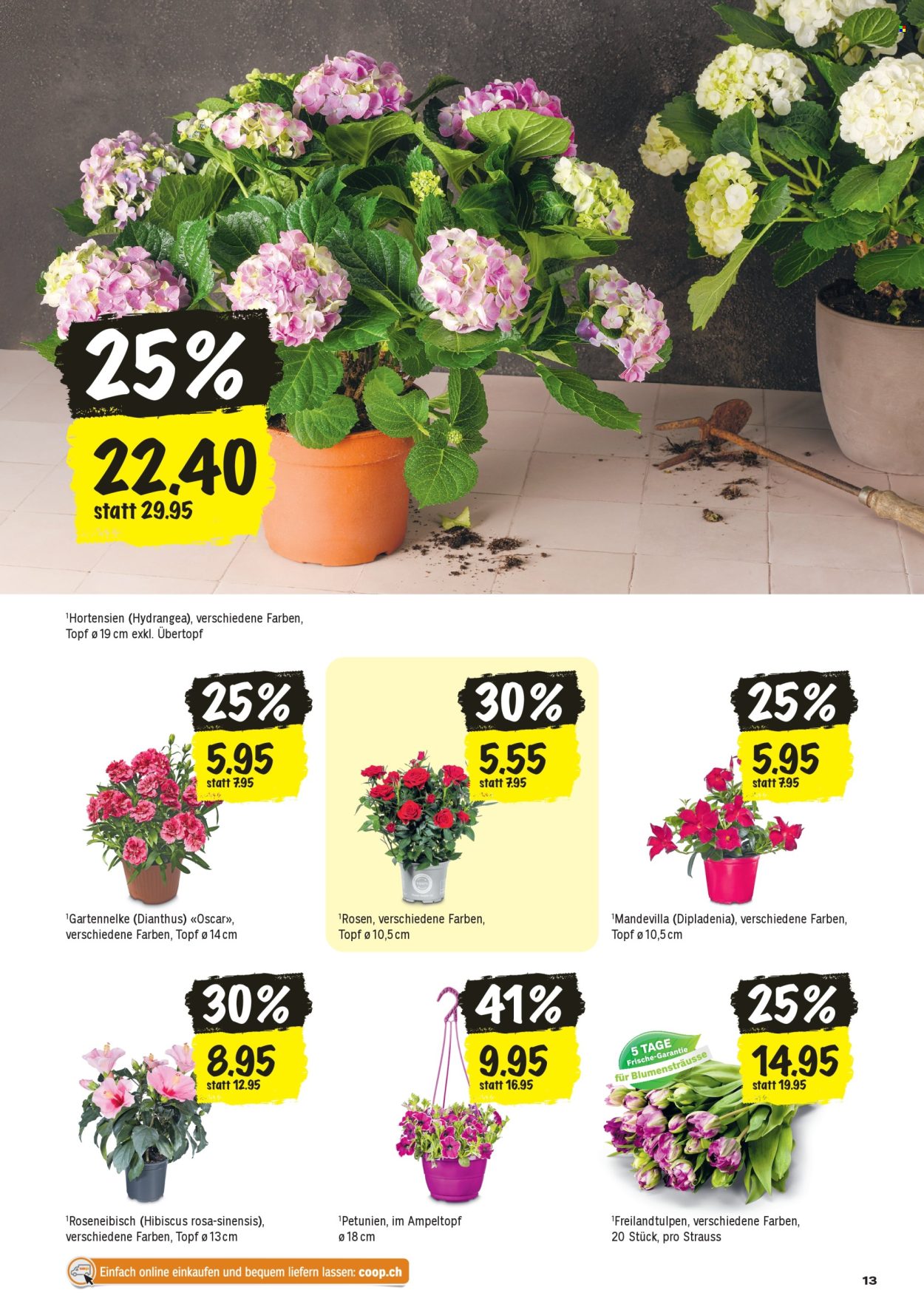 Volantino Coop - 16.4.2026 - 22.4.2026. Pagina 13. Pagina 13