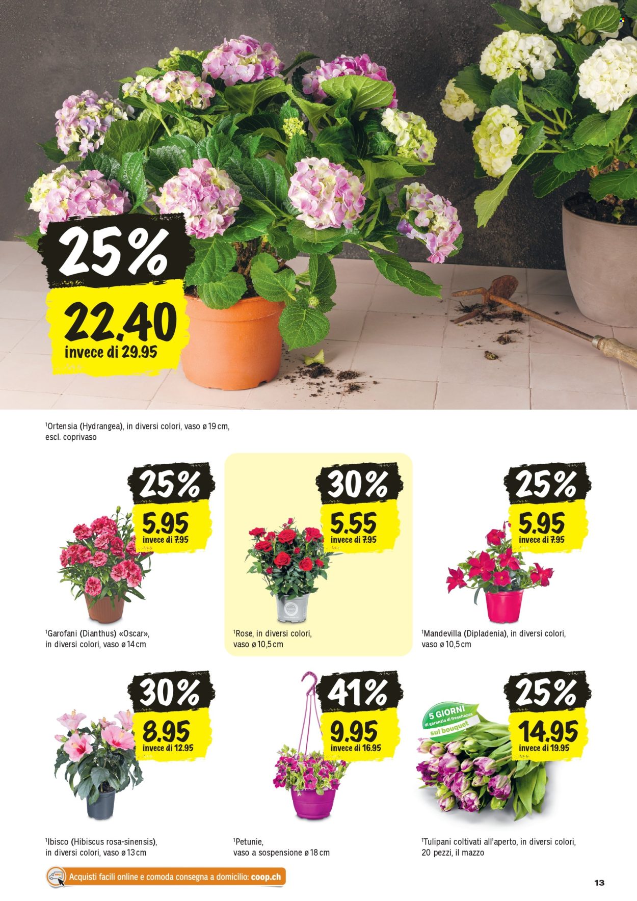 Volantino Coop - 16.4.2026 - 22.4.2026. Pagina 13. Pagina 13