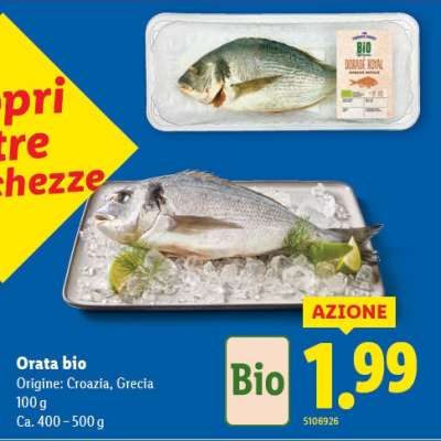 Orata bio