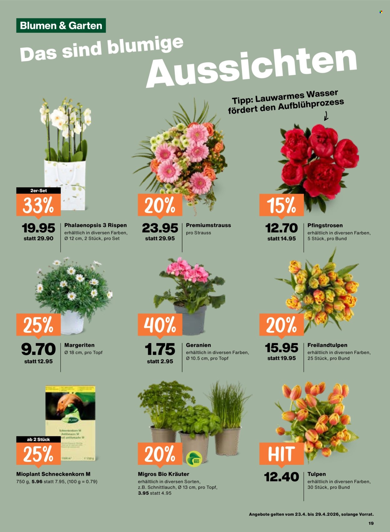 Volantino Migros - 23.4.2026 - 29.4.2026. Pagina 19. Pagina 19