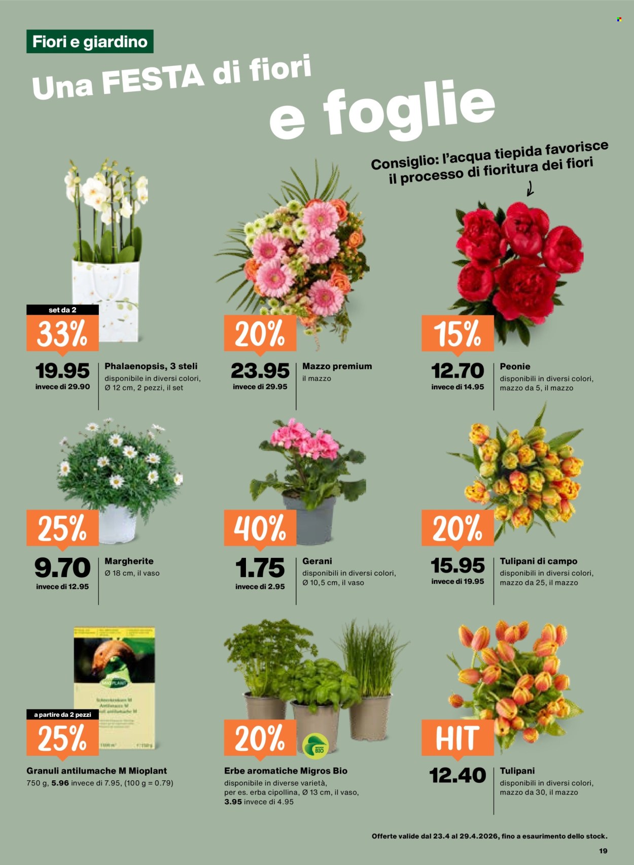 Volantino Migros - 23.4.2026 - 29.4.2026. Pagina 19. Pagina 19