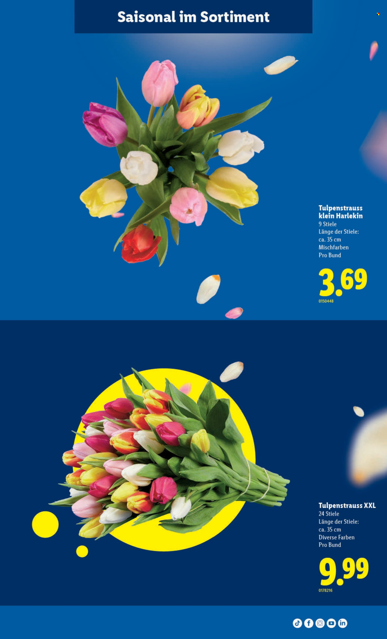 Volantino Lidl - 30.4.2026 - 6.5.2026. Pagina 7. Pagina 7