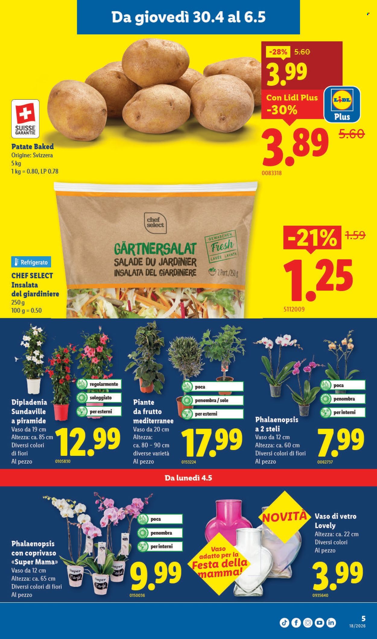 Volantino Lidl - 30.4.2026 - 6.5.2026. Pagina 5. Pagina 5