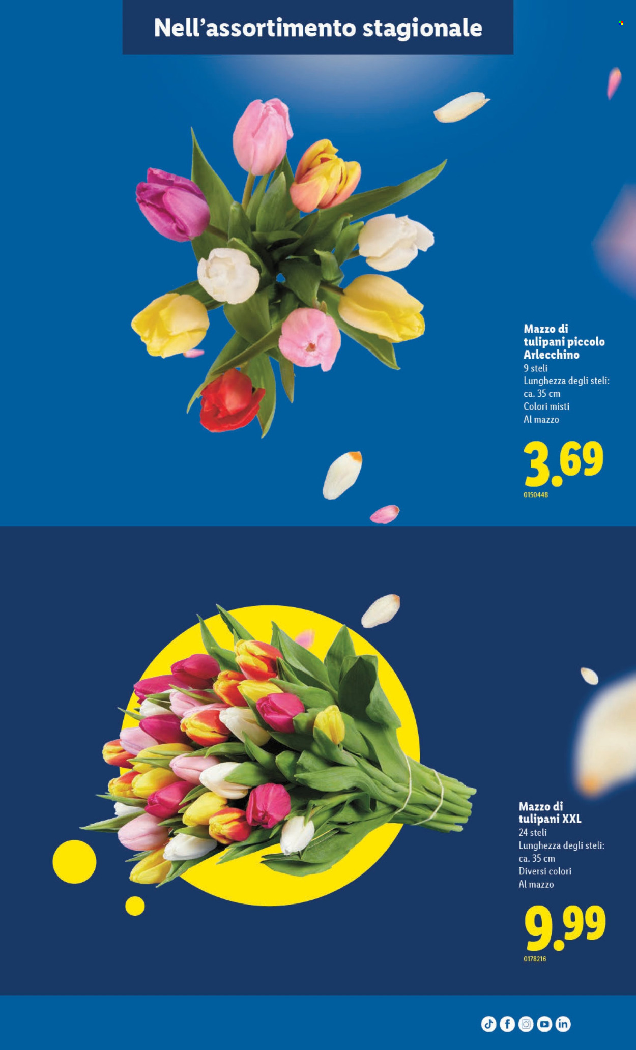 Volantino Lidl - 30.4.2026 - 6.5.2026. Pagina 7. Pagina 7