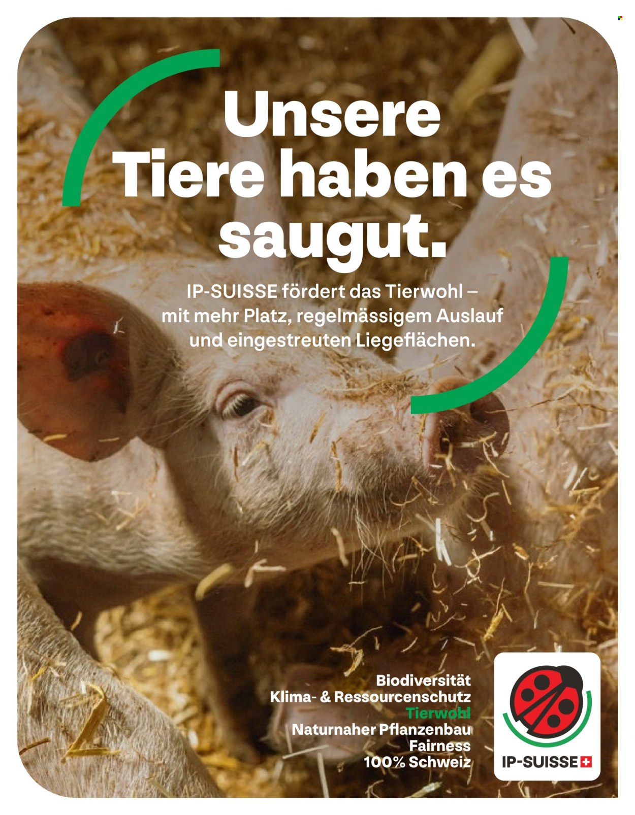 Volantino Volg - 1.5.2026 - 31.5.2026. Pagina 28. Pagina 28