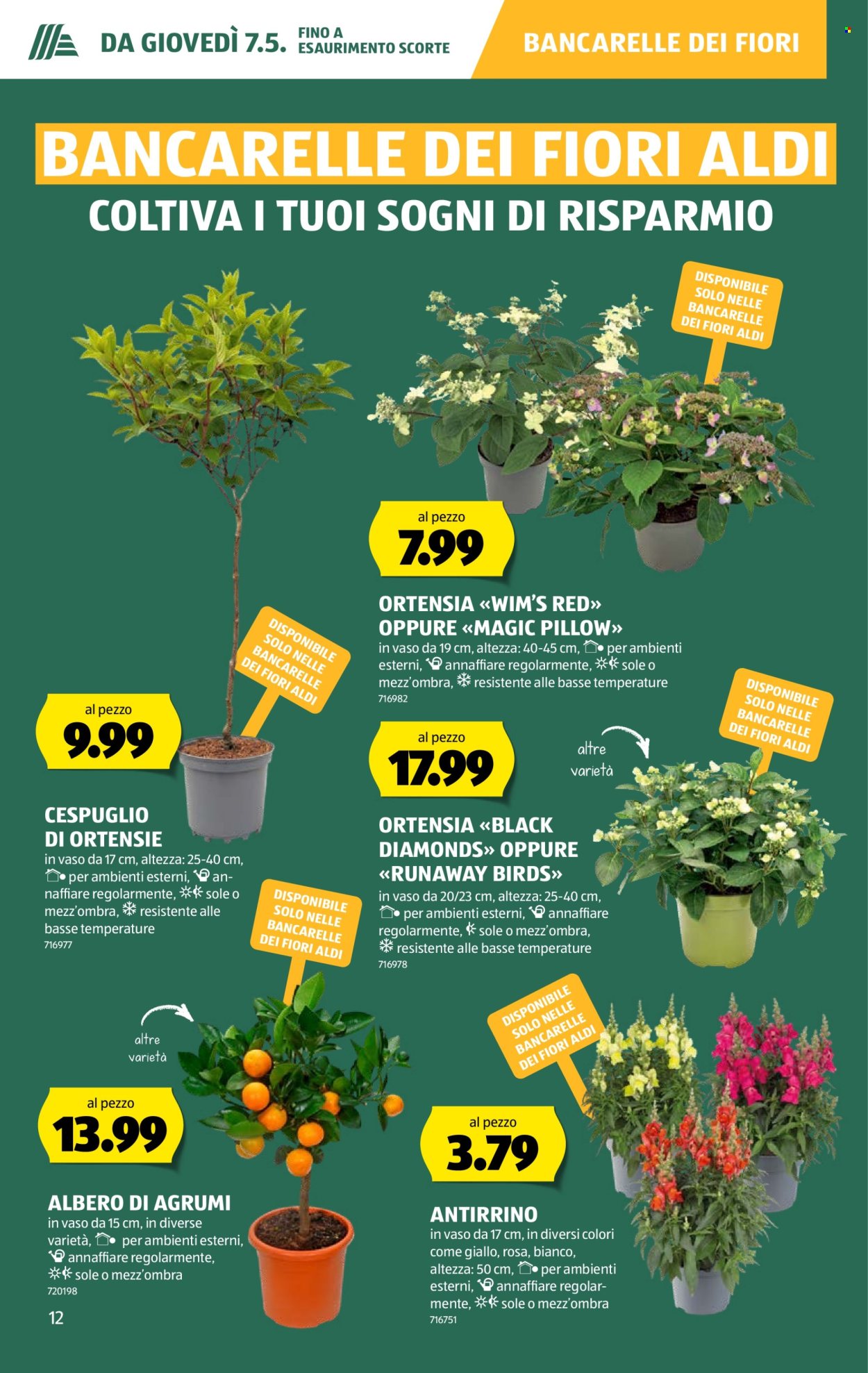 Volantino Aldi - 7.5.2026 - 13.5.2026. Pagina 12. Pagina 12