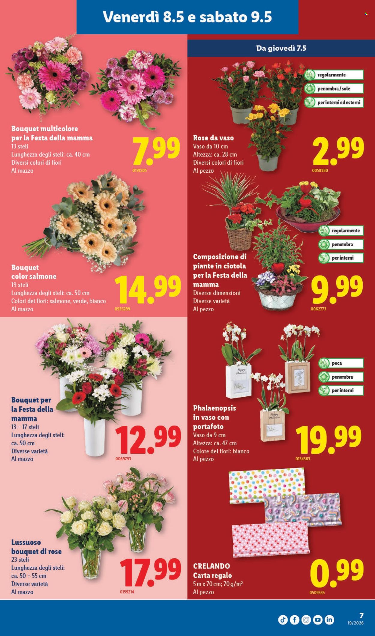 Volantino Lidl - 7.5.2026 - 12.5.2026. Pagina 7. Pagina 7