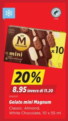 Gelato mini Magnum