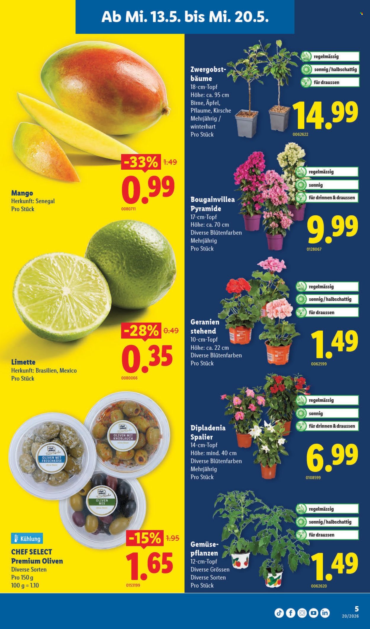 Volantino Lidl - 13.5.2026 - 20.5.2026. Pagina 5. Pagina 5