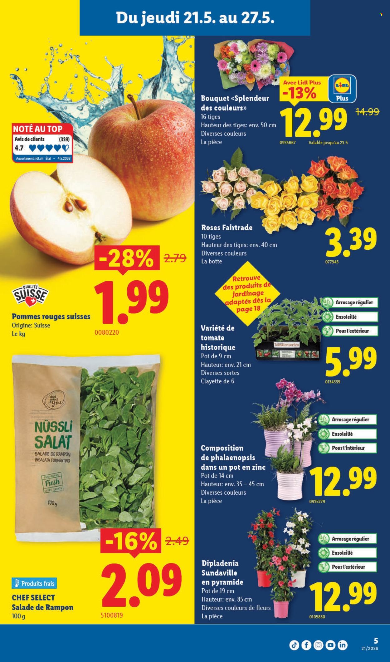 Volantino Lidl - 21.5.2026 - 27.5.2026. Pagina 5. Pagina 5