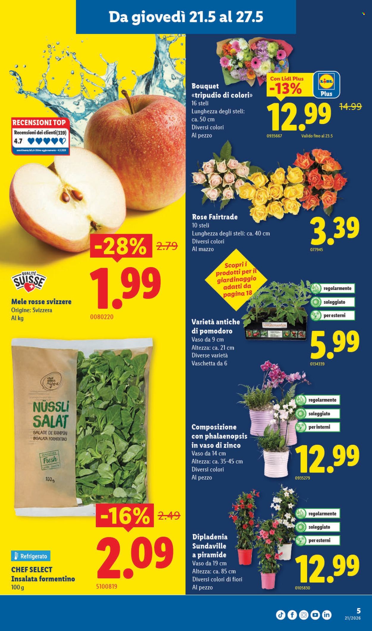 Volantino Lidl - 21.5.2026 - 27.5.2026. Pagina 5. Pagina 5