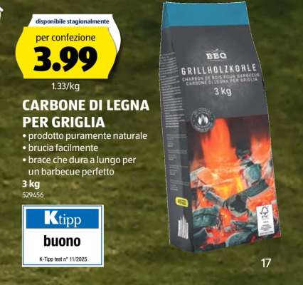 CARBONE DI LEGNA PER GRIGLIA