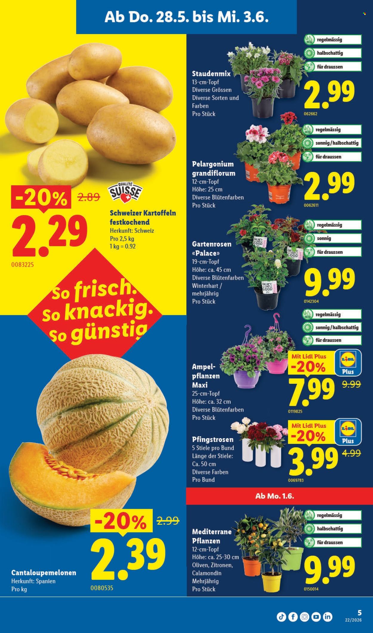 Volantino Lidl - 28.5.2026 - 3.6.2026. Pagina 5. Pagina 5