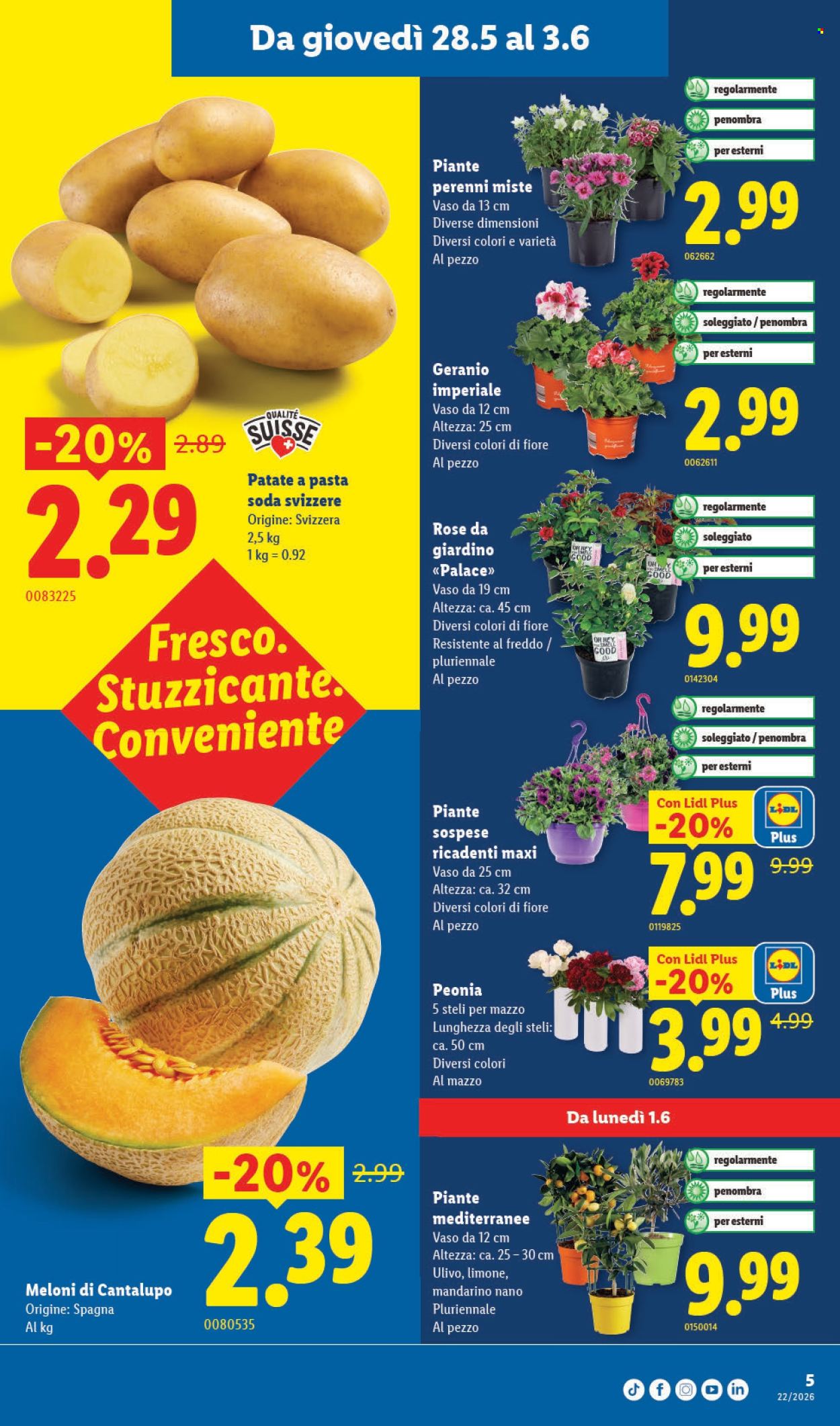 Volantino Lidl - 28.5.2026 - 3.6.2026. Pagina 5. Pagina 5