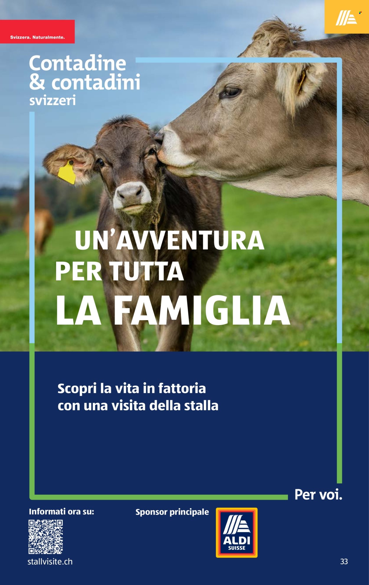 Volantino Aldi - 4.6.2026 - 10.6.2026. Pagina 33. Pagina 33