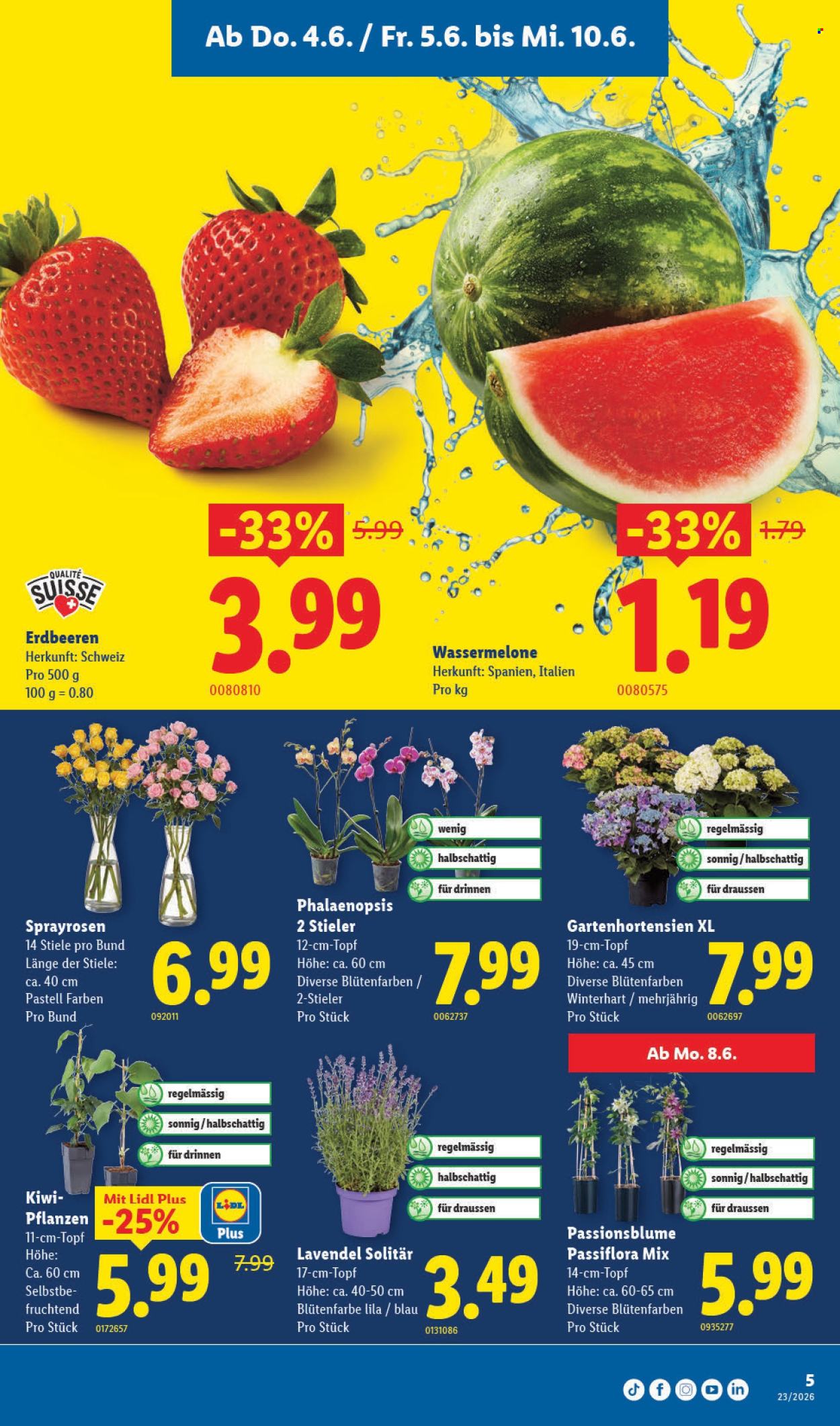 Volantino Lidl - 4.6.2026 - 10.6.2026. Pagina 5. Pagina 5