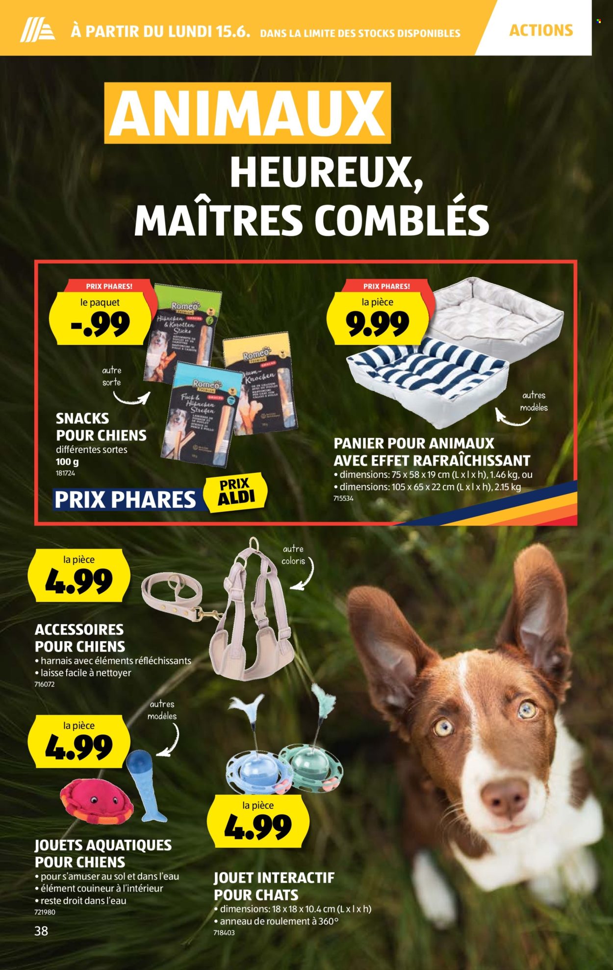 Volantino Aldi - 11.6.2026 - 17.6.2026. Pagina 42. Pagina 42