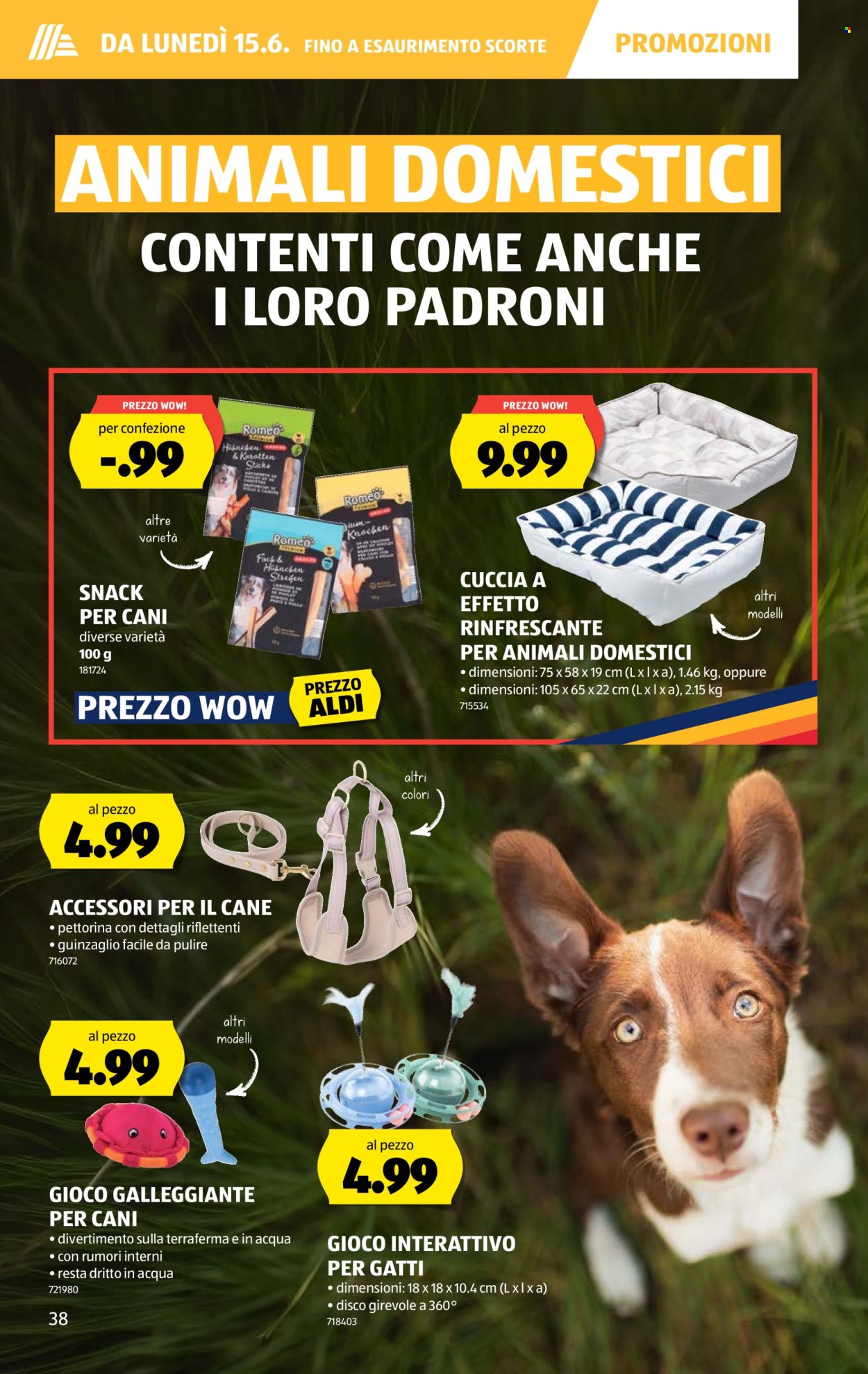 Volantino Aldi - 11.6.2026 - 17.6.2026. Pagina 42. Pagina 42