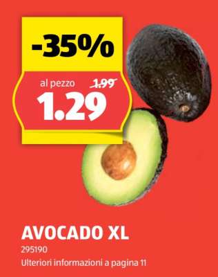 AVOCADO XL